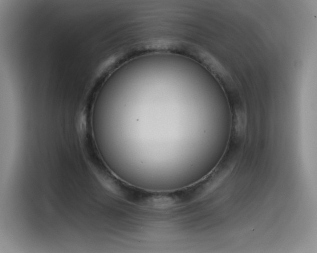 X0000114600636200910191619