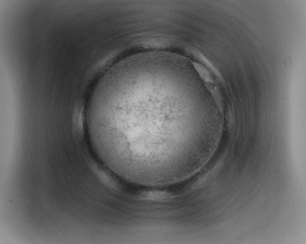 X0000114600637200910191619