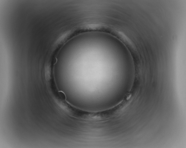 X0000114600640200910191619