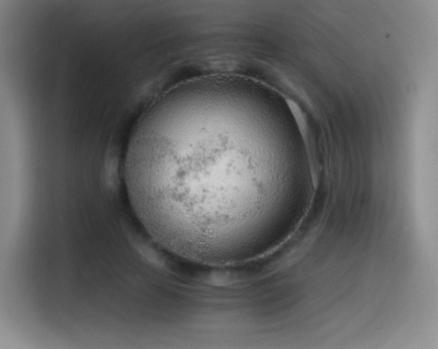 X0000114600641200910191619