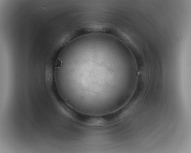 X0000114600642200910191619