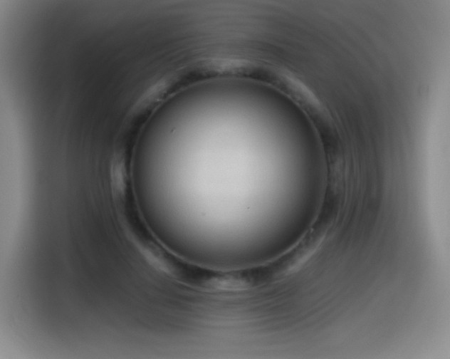 X0000114600644200910191619