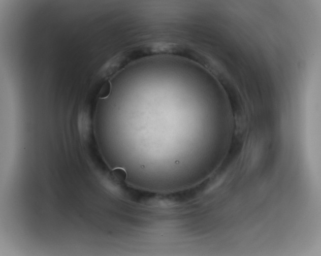 X0000114600648200910191619