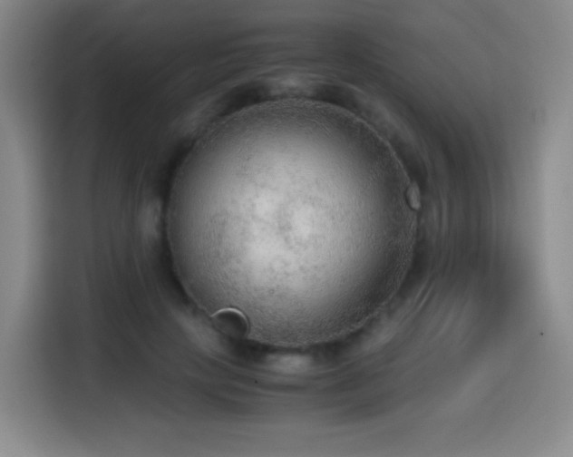 X0000114600649200910191619