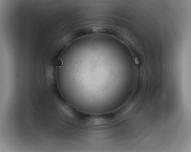 X0000114600650200910191619