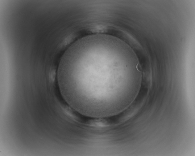 X0000114600652200910191619