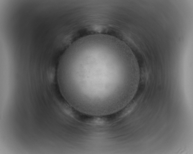 X0000114600656200910191619