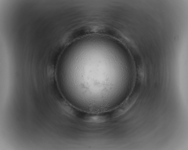 X0000114600657200910191619