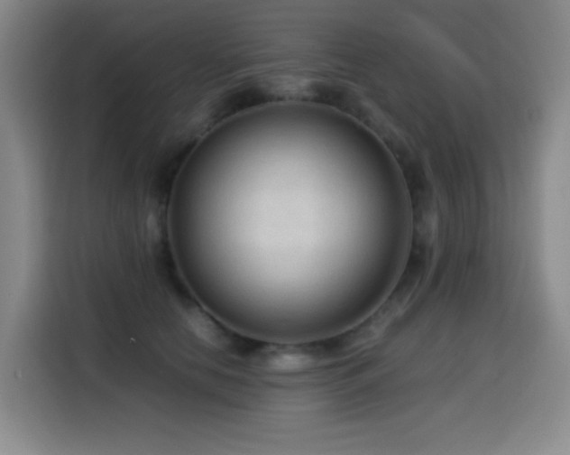 X0000114600658200910191619