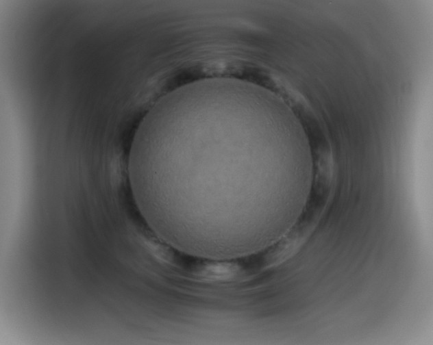 X0000114600659200910191619