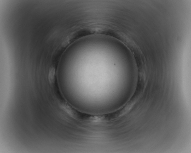 X0000114600660200910191619