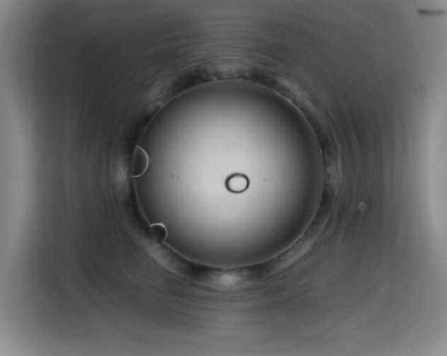 X0000114600662200910191619