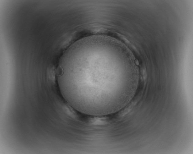 X0000114600664200910191619