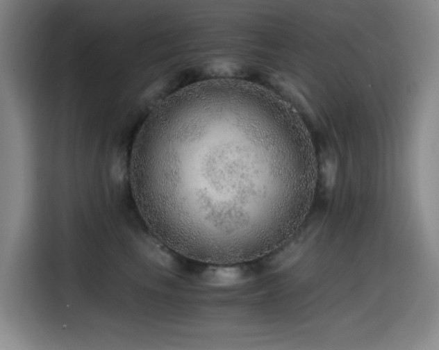 X0000114600665200910191619