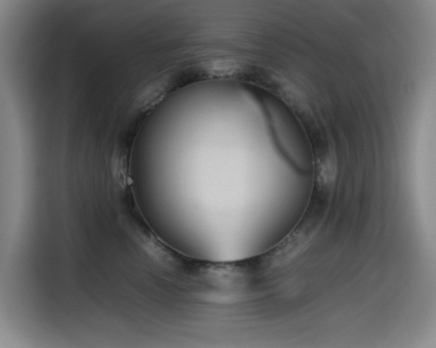 X0000114600666200910191619