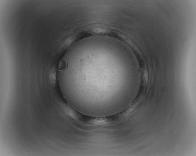 X0000114600668200910191619