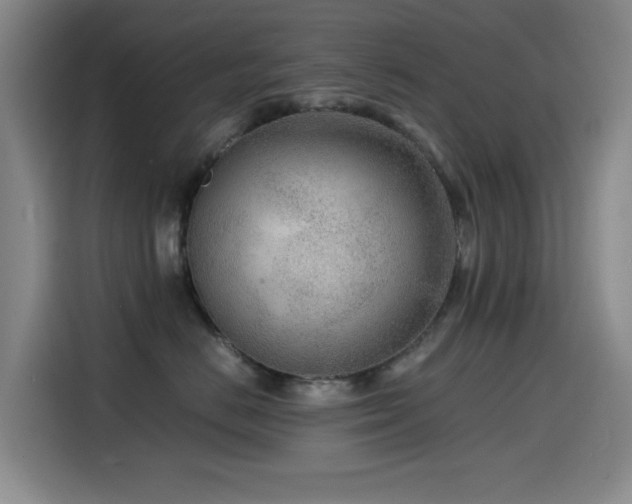 X0000114600670200910191619