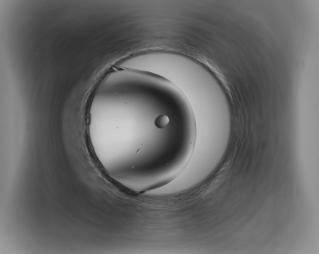 X0000114600673200910191619