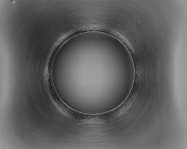 X0000114600674200910191619