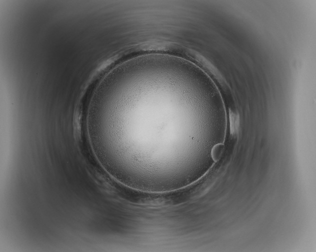 X0000114600675200910191619