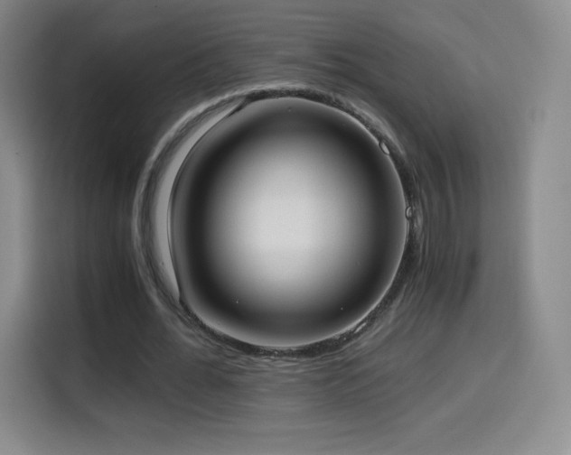 X0000114600676200910191619