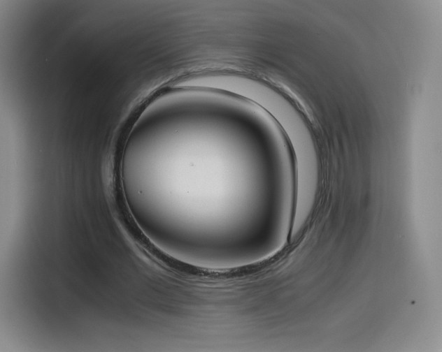 X0000114600677200910191619