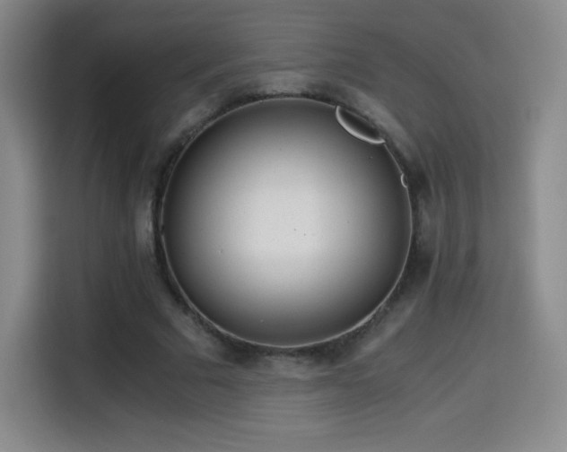 X0000114600681200910191619