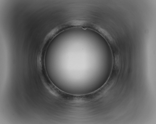 X0000114600682200910191619