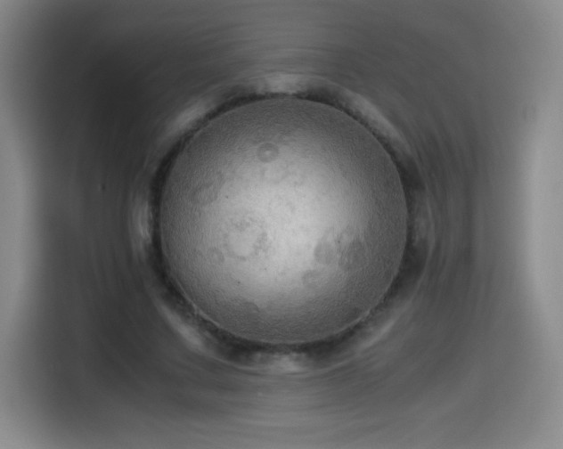 X0000114600683200910191619