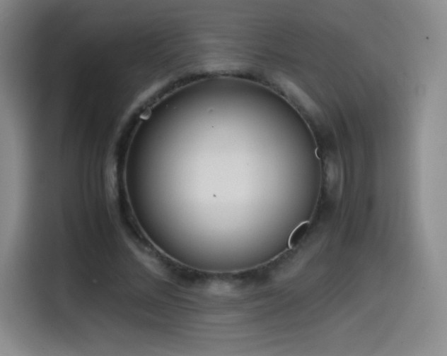 X0000114600684200910191619