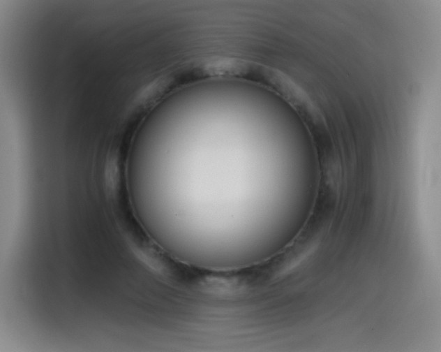 X0000114600690200910191619