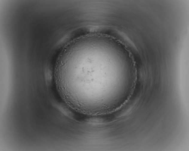 X0000114600691200910191619