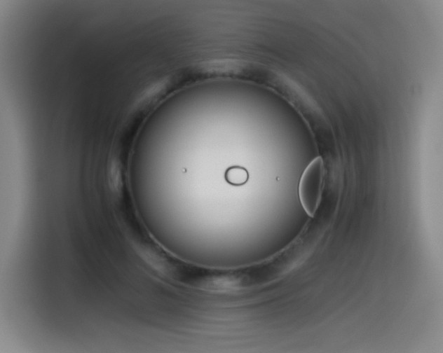 X0000114600692200910191619