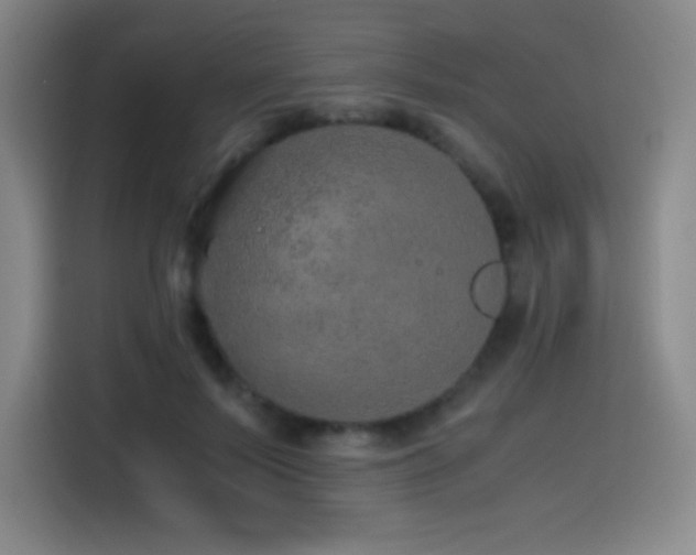 X0000114600695200910191619