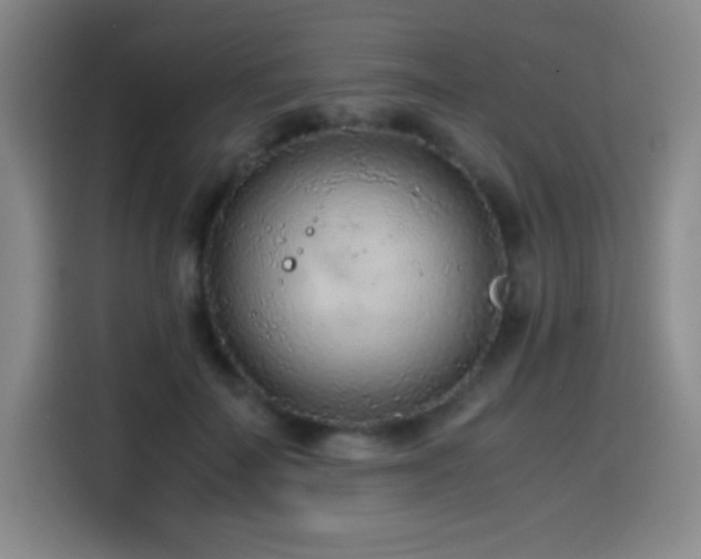 X0000114600699200910191618