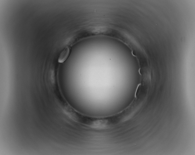 X0000114600700200910191618