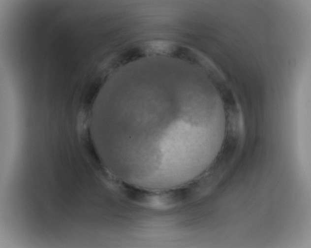 X0000114600701200910191618