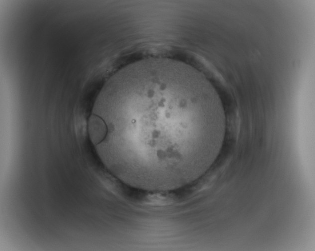 X0000114600703200910191618