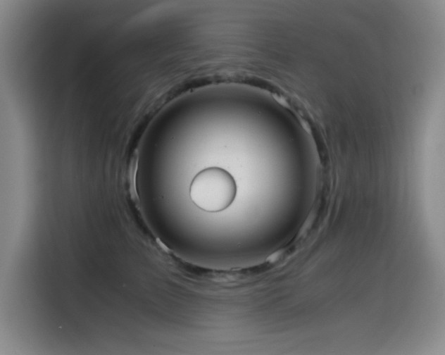 X0000114600709200910191618