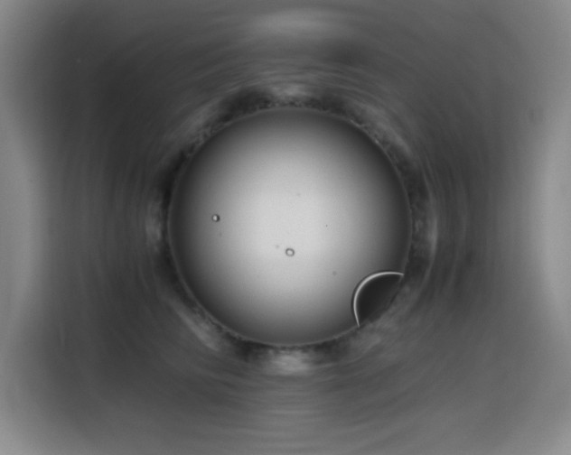 X0000114600710200910191618