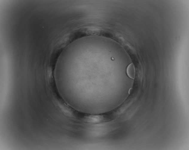 X0000114600711200910191618