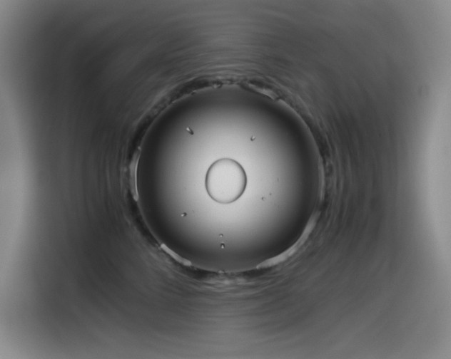 X0000114600712200910191618