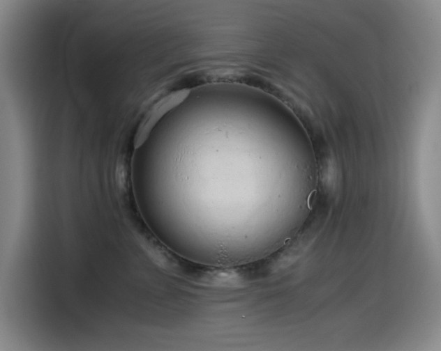 X0000114600715200910191618