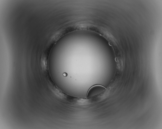 X0000114600718200910191618