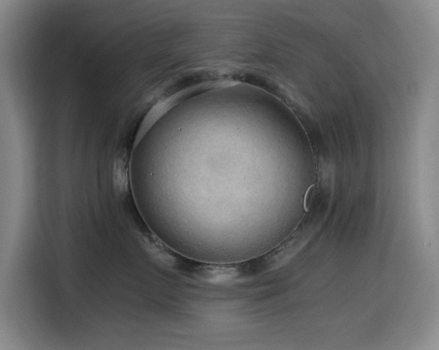 X0000114600719200910191618