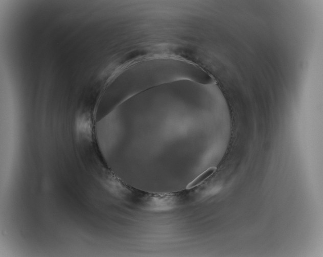 X0000114600720200910191618