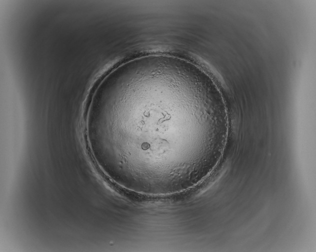 X0000114600721200910191618