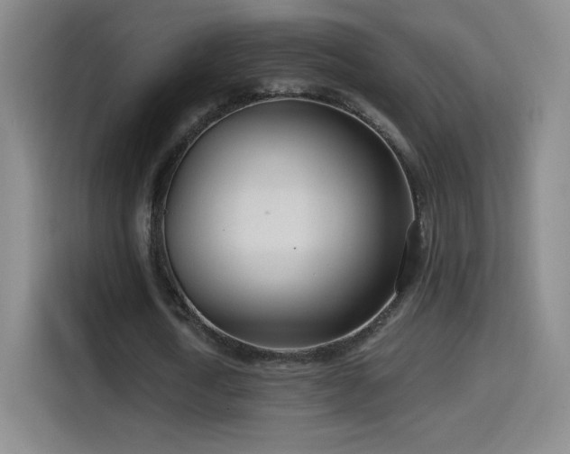 X0000114600722200910191618