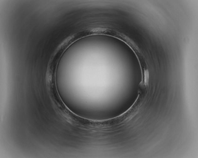 X0000114600723200910191618