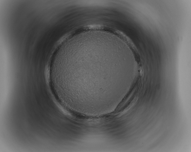 X0000114600725200910191618